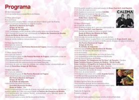 Festa Santa Cruz e Andores Floridos