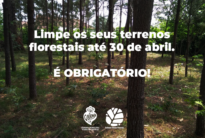 Limpe os seus terrenos florestais até 30 de abril