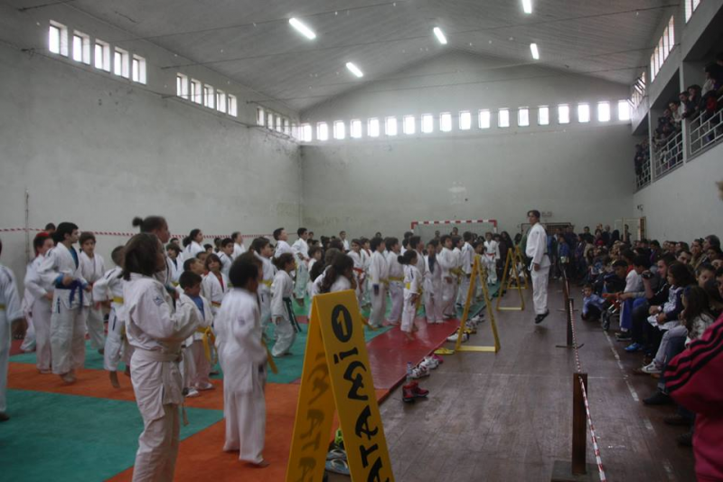 Judo em Alvar&atilde;es