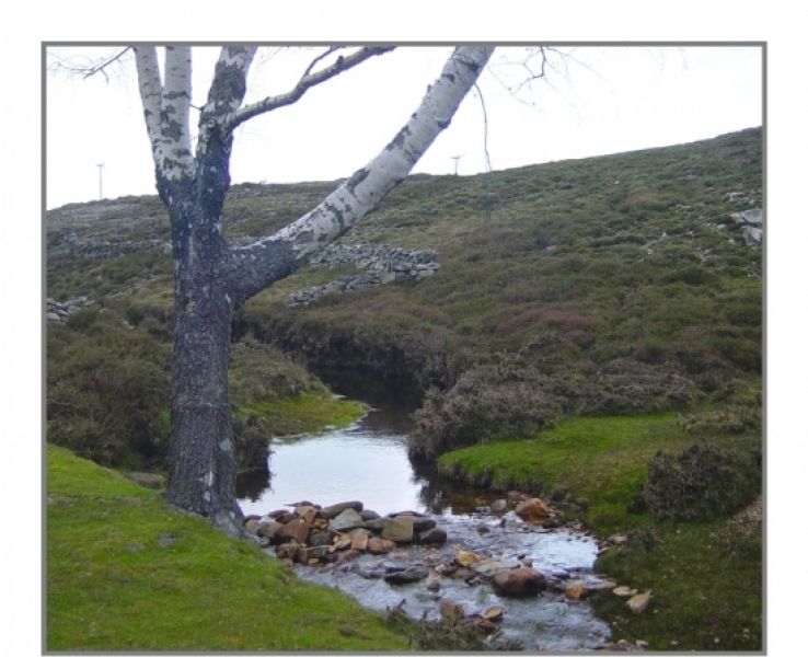 Limpeza e desobstru&ccedil;&atilde;o de linhas de &aacute;gua