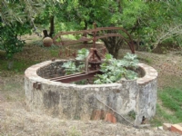 Licenciamento de Fossas e Poços